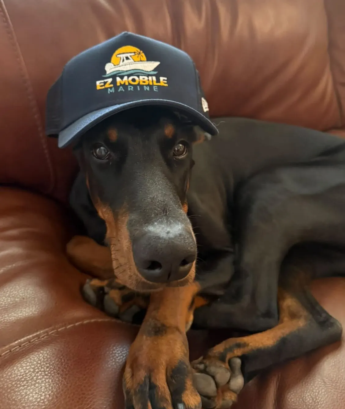 The shop dog wearing an EZ Mobile Marine cap